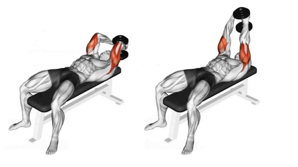 Incline Dumbbell Tricep Extension