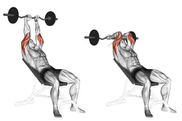 Incline Dumbbell Tricep Extension with EZ-Curl Bar