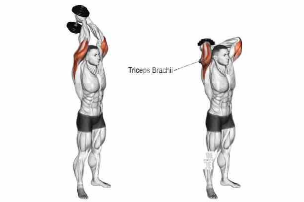 Triceps extension