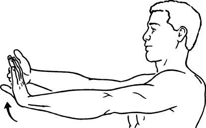 Wrist Flexor Stretch