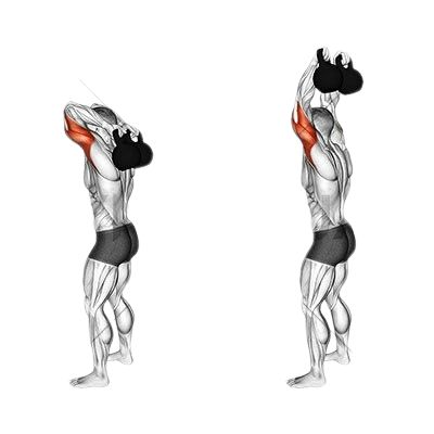 Kettlebell Overhead Tricep Extension