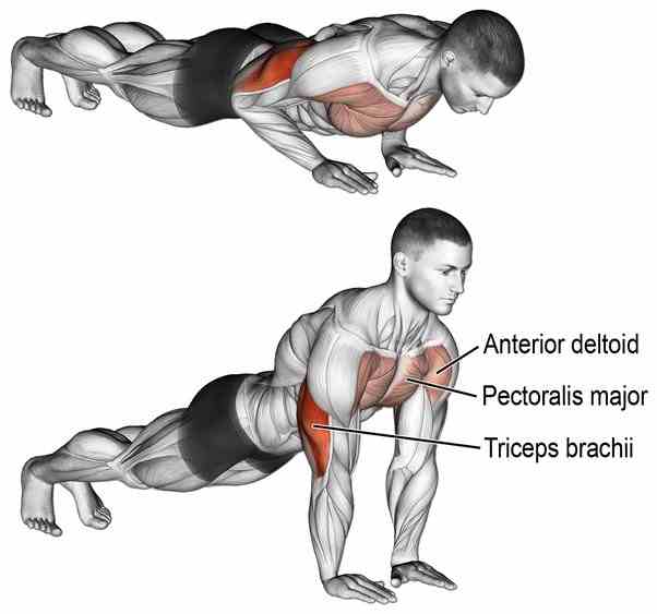 Triceps push-up