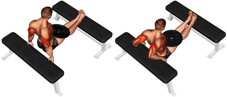 Weighted Bench Dip