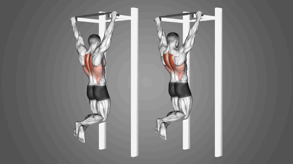 scapular pull ups