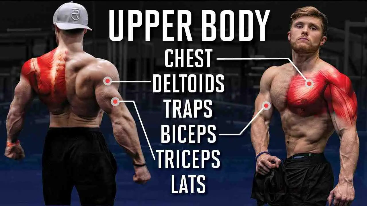 TRX Upper Body Workout