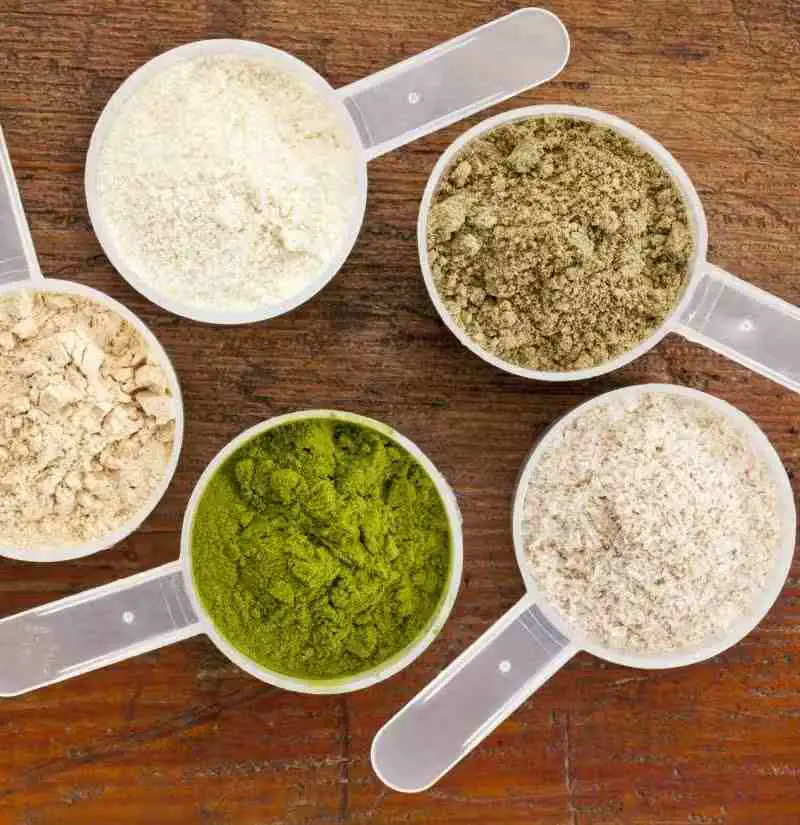 Types of Protein Powders