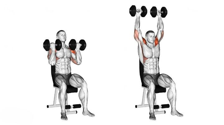 What is Arnold Presses?