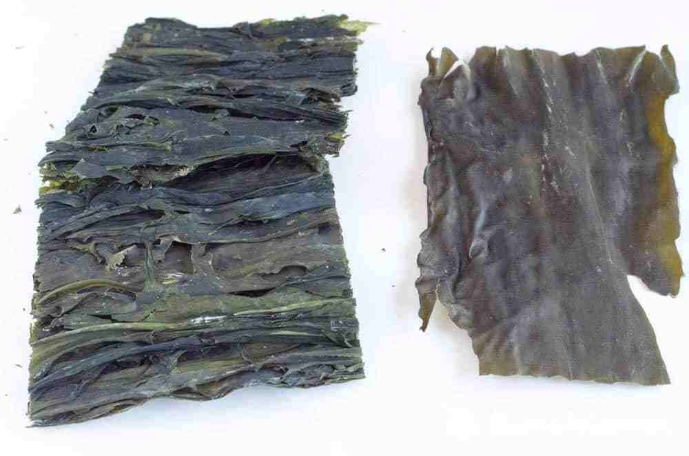 Does Dried Kelp Go Bad?