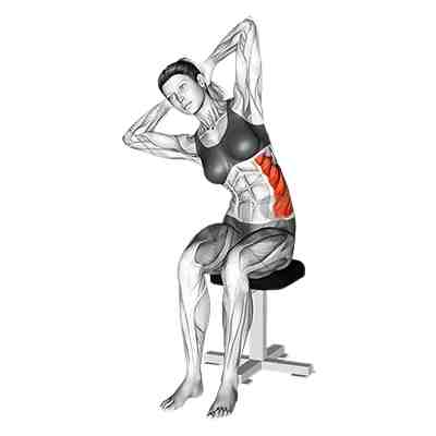 Seated Lower Trunk Lateral Flexion Stretch
