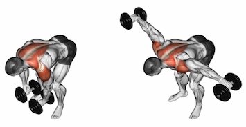 Standing Bent-Over Lateral Raise