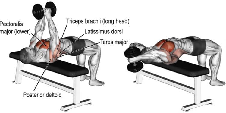 Dumbbell exercises for upper back