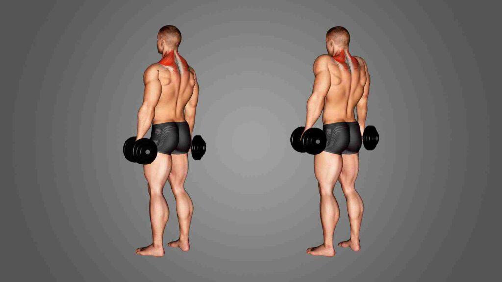 Dumbbell exercises for upper back