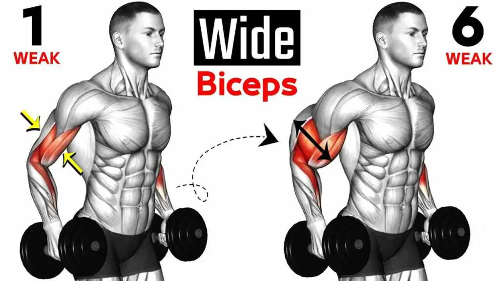 Do Push-ups Work Biceps?