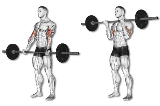 Standing Barbell Bicep Curls