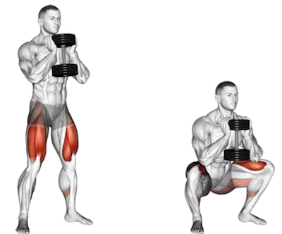 Introduction to Squats