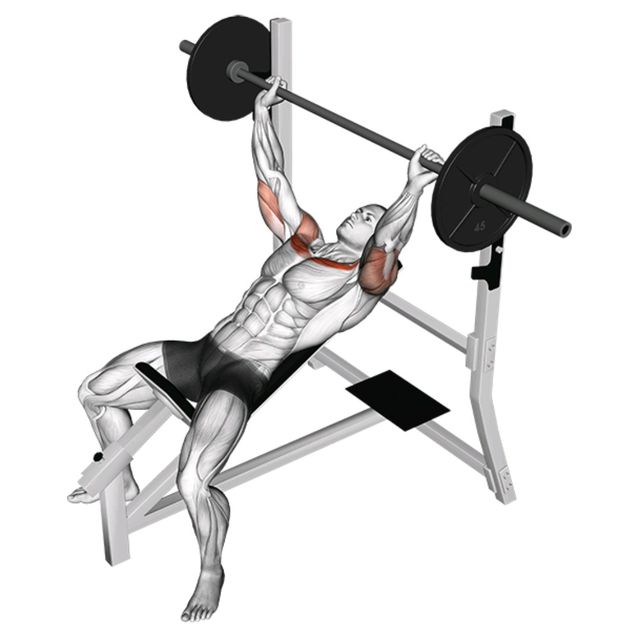 Bench Press Calculator