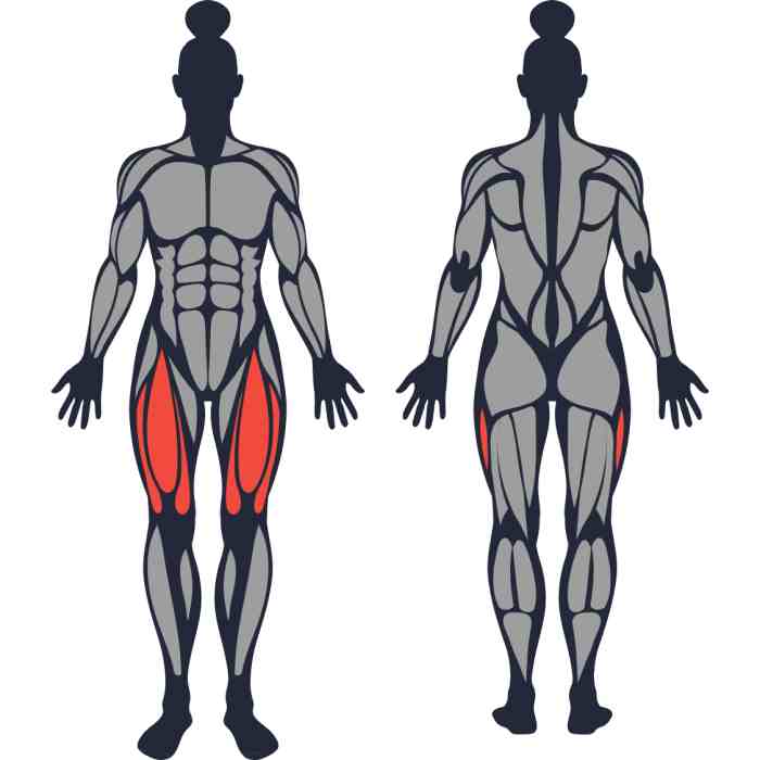 Leg Muscles trageted in mountain climbers