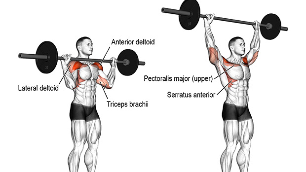 Correct Form and Technique for the Overhead Press