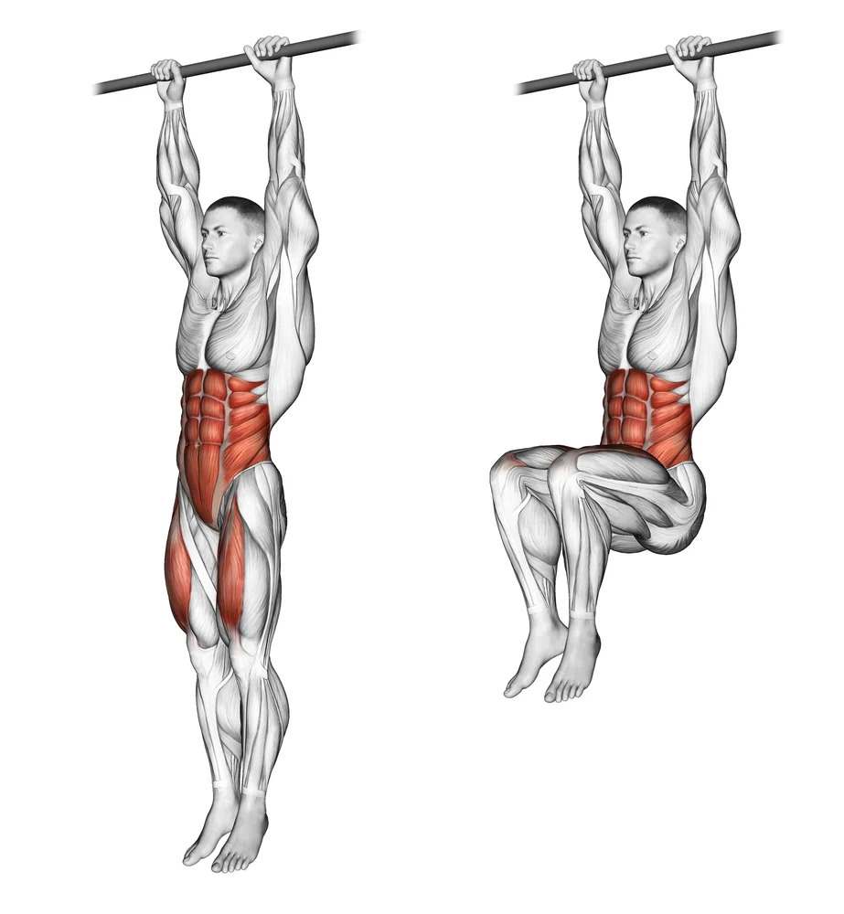 Hanging Leg Raises - An Ab workout