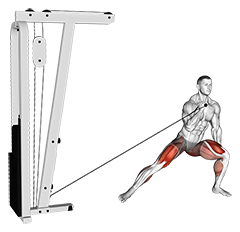 Cable Side Lunges