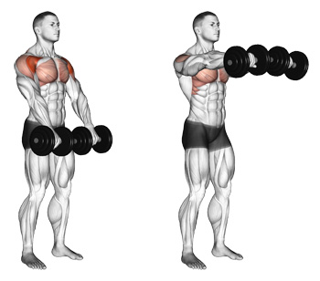 Front Dumbbell Raise with Pause