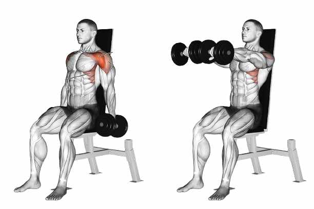 Seated Dumbbell Front Raise