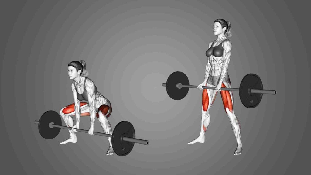 Sumo Deadlift - Lower body pull exercise